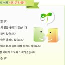 넷티 이미지