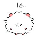 제주나무카페