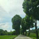 백곡천1 | 진천무료물놀이장 백곡천물놀이장 운영시간,주차,돗자리위치 솔직후기