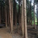 자연그리 이미지