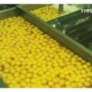 김밥속으로 - 수원시 권선구 세지로 94-1 | 김밥속으로