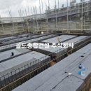 주식회사 금잔디