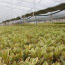 상원농원 이미지