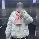 3423 | 코닥 브라우니 덕다운 후드 자켓 아이보리 착용 후기 (K3423LDJC5IVR)