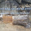 통나무민박3 네이버블로그