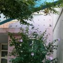 대구동촌초등학교 이미지