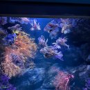 지에스(GS)25 일산토당점 | 아쿠아플라넷 일산 다인권 연간회원권 구매 후기 등록방법 7개월 아기와 다녀온 후기