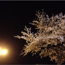 성관농장 이미지