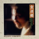 울고 싶어라 / 김도향 (1988) 이미지