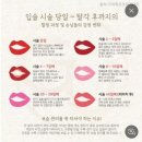일산 주엽 입술문신 후기 부작용, 탈각 주의사항 립틴트타투 솔직후기
