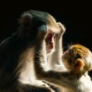 썬 스크린골프존 이미지