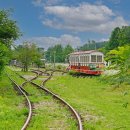 왕송호수공원 이미지