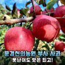 경천반점 | 가성비 끝판왕! 문경 천의농원 부사 흠과 가정용 3kg/5kg 솔직 리뷰