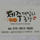 패밀리농장 Daum카페