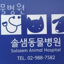 솔샘동물병원 이미지