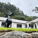 신생교회 앞 | #캠프네버랜드애견동반가능캠핑장 🐶강아지들이 행복한 캠핑장👍