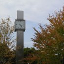 미리내캠프 이미지