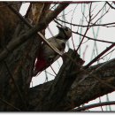 승기천 신연수역 이미지