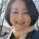 도천경로당 Daum카페