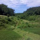 모든카센타 이미지