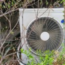 믿음크린 이미지