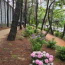 삼선주유소 이미지