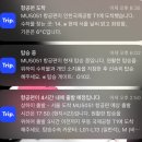 이심 ▪️ 공항 숙소 ▪️ 디즈니랜드 ▪️ 우전 수향마을 ▪️ 황푸강 유람선 ▪️ 필수 어플 ▪️하나카드 ▪️네일아트)