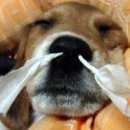 미래건강의원 네이버블로그