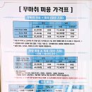 고양이 무마취미용&호텔 무냥무냥 부산서면점 이미지