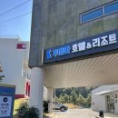 평Dog 스테이 이미지