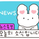 캑티 가챠샵 노원점 이미지