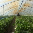 두현농장 이미지