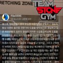 팀스톤