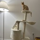 엄마의마음 이미지