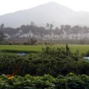 샘소민박 이미지