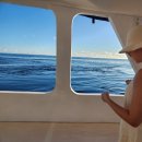 백조미용실 | 신행의 꽃 플로팅 조식, 선셋 피싱, 허니문 턴오버, 라야 바이 앳모스피어 중동 레스토랑 미자즈Mizaj 후기