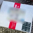 펫츠 퀴진 이미지