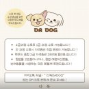 세상에 하나뿐인 강아지 생일케이크🎂 생일파티 준비