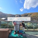 동태백로 | 철암탄광역사촌 태백 당일치기 아이와 가볼만한곳