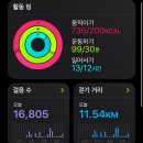 행복한 5월을 마무리하며(1)(feat. 다문화는 사랑을 타고~)