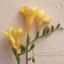 부산장신대학교 장애인교육선교대학원 이미지