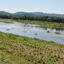 노곡1리마을회관 이미지