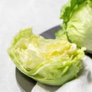 주식회사 티오케이 이미지