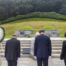 육영수 카카오 검색결과