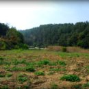 우람농장 이미지