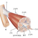 제이엠휘트니스 이미지