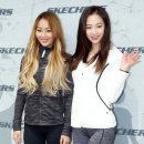 다솜