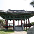 완산-8 티스토리