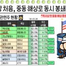 소수
