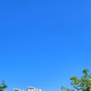 배곧생명공원 이미지